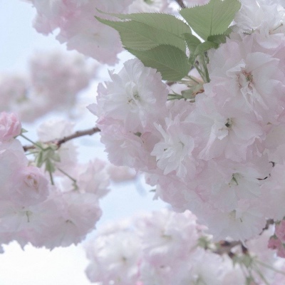 临湘福瑞交流群